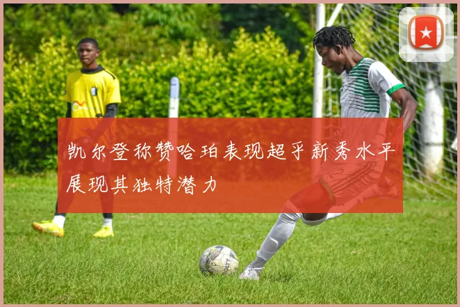 凯尔登称赞哈珀表现超乎新秀水平展现其独特潜力